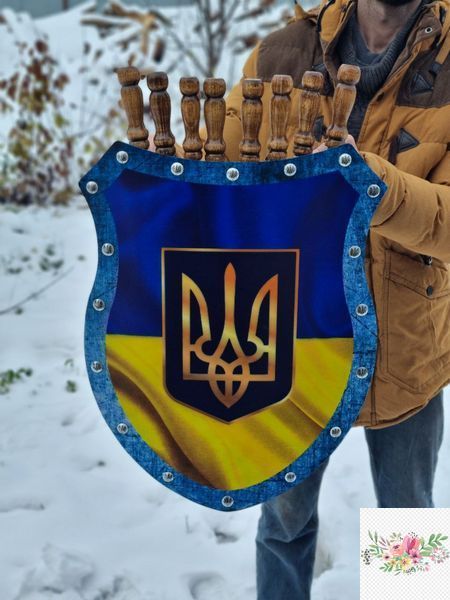 Набір шампурів подарунковий &ldquo;Щит&rdquo;